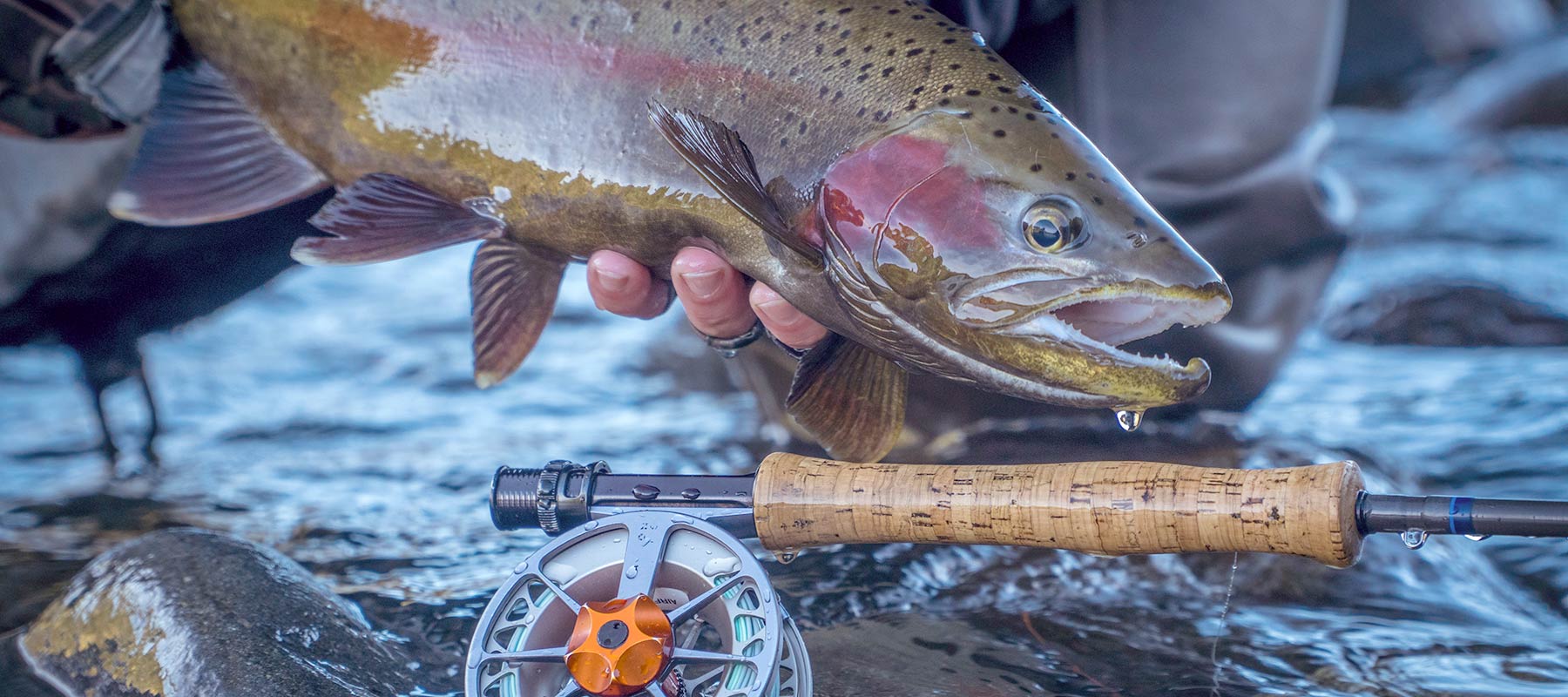 Caught Trout with Fly-Fishing Reel in Jackson Hole, Wyoming